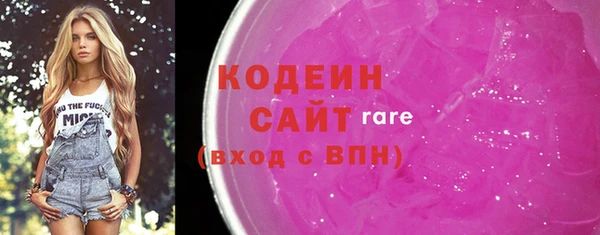 дживик Бородино