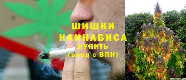 дживик Бородино