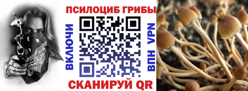Купить где  Нерчинск  Галлюциногенные грибы ЛСД 